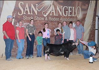 3rd Overall Spot Gilt - 1st cl 3
San Angelo Stock Show